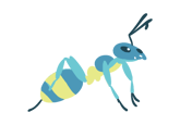 ant