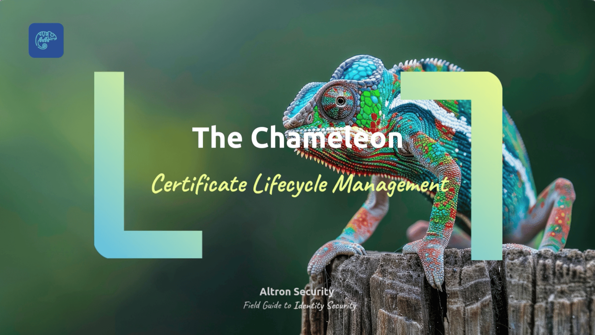 Image 2026-01-05 at 21.14