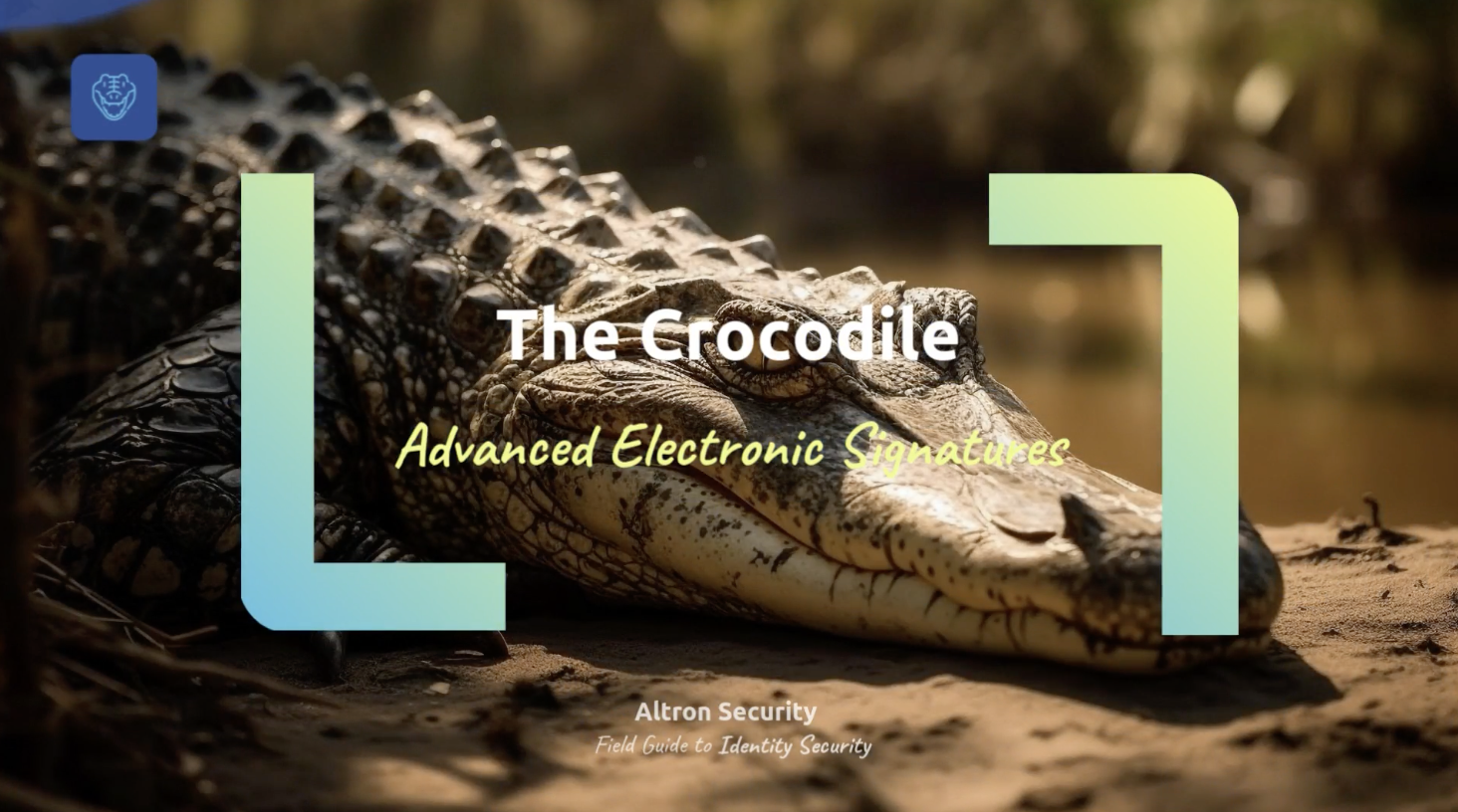 Image 2026-01-06 at 10.47