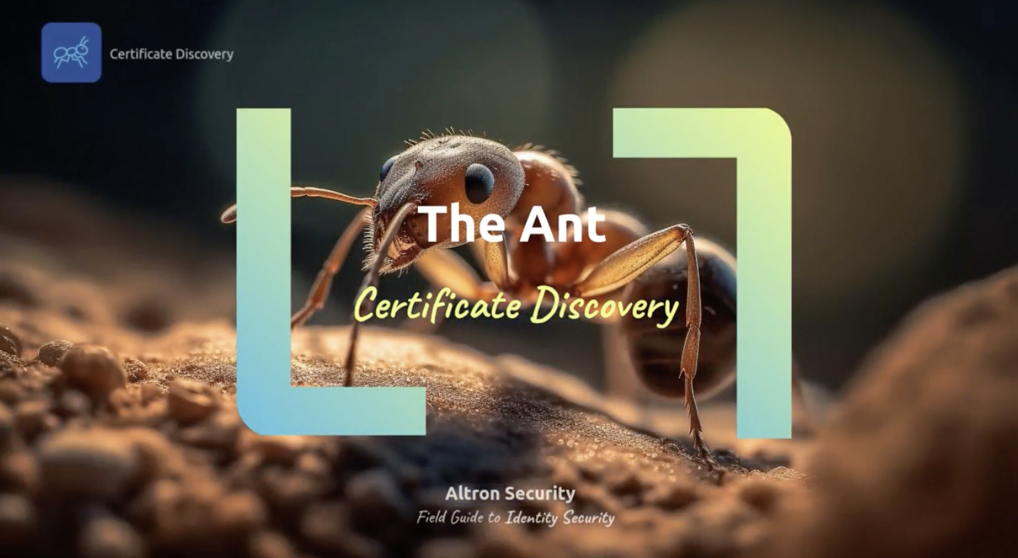 Image 2026-01-06 at 17.55